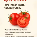 Deshi Tamatar - Deshi Tamato