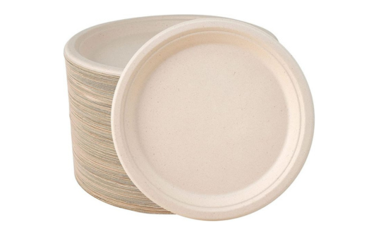 ECO Biodegradable Pepar Plate 100pc